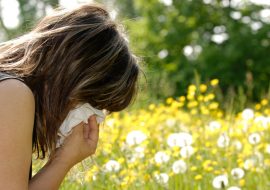 Allergies saisonnières : 4 remèdes naturels pour garder le sourire